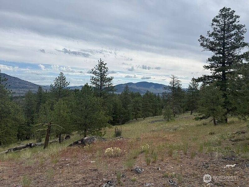 4th image of 111 TBD Patterson Creek