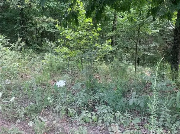 223 Foxtrot Rd, Pineville, MO 64856