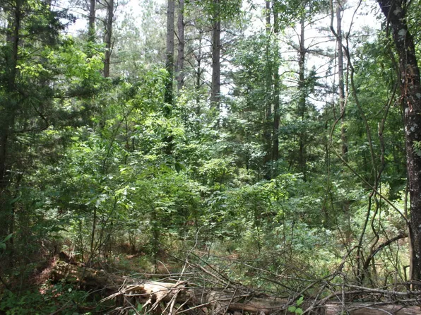 Highway 278 & Hempstead #313, Nashville, AR 71852