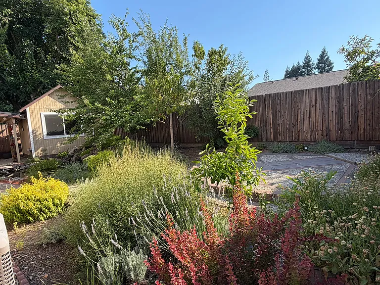 7189 Camel Rock Way — Photo 21