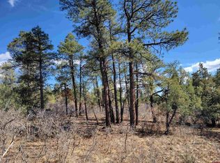 145 Rock Point Pl, Pagosa Springs, CO 81147