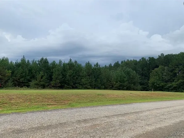 0 Gilliam Rd, Berry, AL 35546