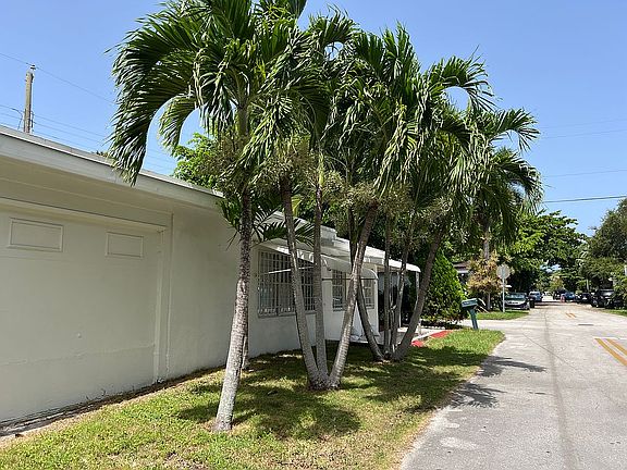 Front lawn w/ palm trees