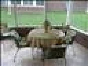1st image of 4532 Brittany Hills Way