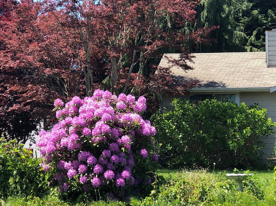 2nd image of 15006 18th Dr NE