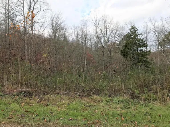 Big Sinks Rd, Sharps Chapel, TN 37866