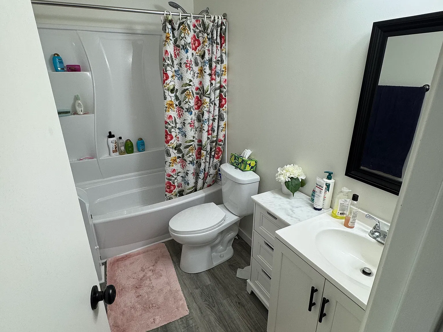 1 bed, $850 — Photo 3