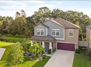 14238 Blue Dasher Dr, Riverview, FL 33569