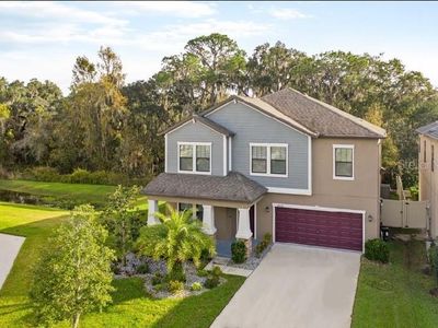 14238 Blue Dasher Dr, Riverview, FL, 33569