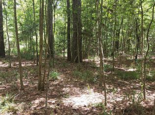 306 Deason Cir, Colmesneil, TX 75938