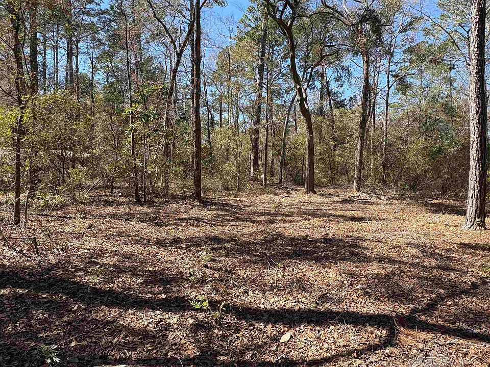 2nd image of 38 Choctaw Rd