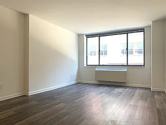 520 W 43rd Street #2D image 1 of 21