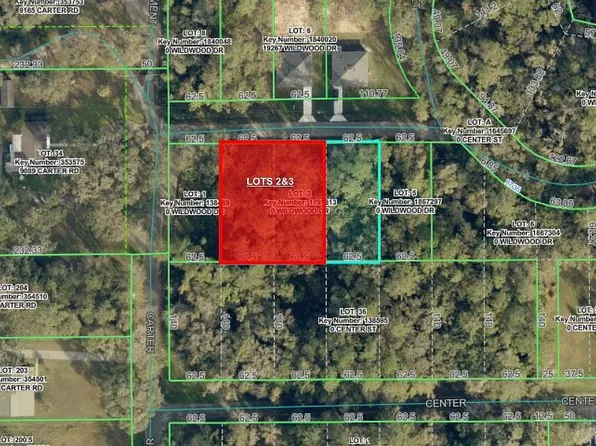 0 Wildwood Dr #2-3, Brooksville, FL 34601