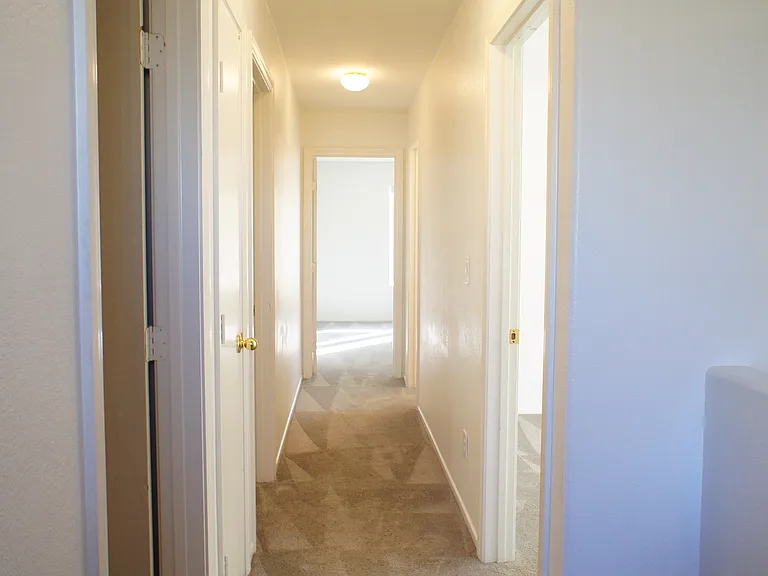 9679 Brooks Lake Ave — Photo 10