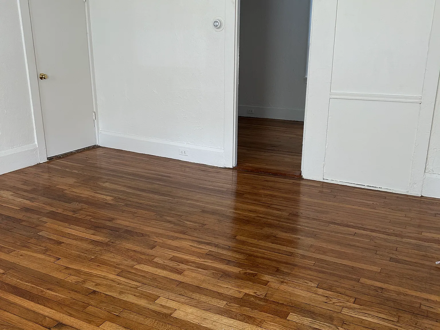 1 bed, 790 sqft, $1,600 — Photo 4