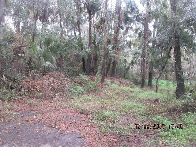 2nd image of 4513 Coconut Cove Pl