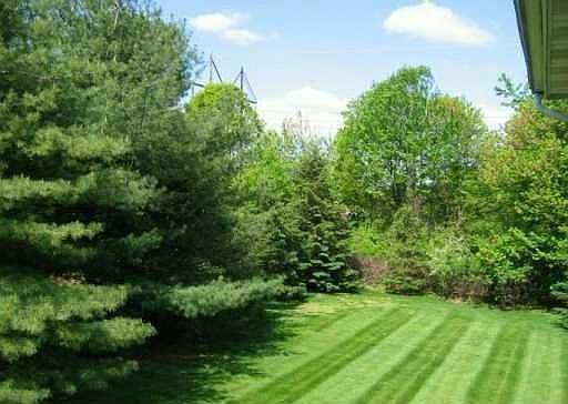 Grounds