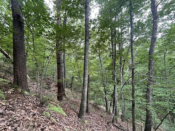 Colburn Mountain Estate Site