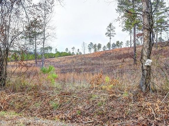4th image of 14 Sneed Rd