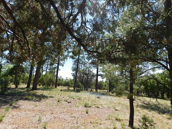 3rd image of 4890 Juniper Dr