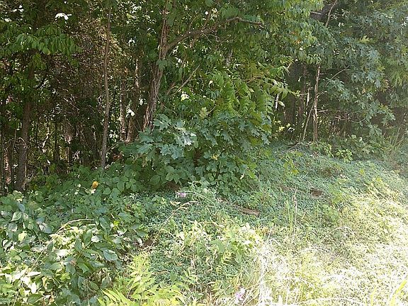 5th image of Tower Hill Rd