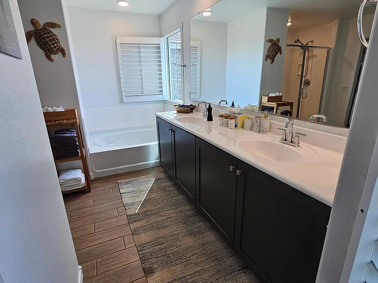 Primary bathroom