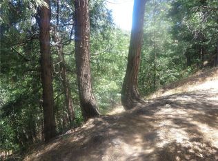 1 Buckthorne Dr #1, Cedarpines Park, CA 92322