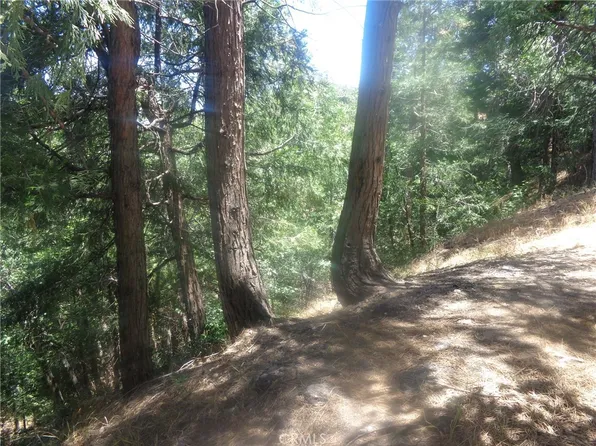 1 Buckthorne Dr #1, Cedarpines Park, CA 92322