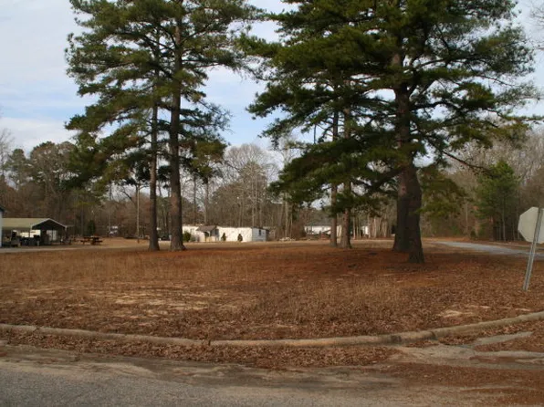 407 Otis Ave, Tarboro, NC 27886