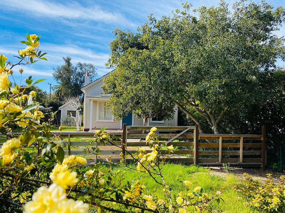 View from the street. Rosebushes create a cozy hide-away feel and the stately Live Oak provides a lovely canopy.