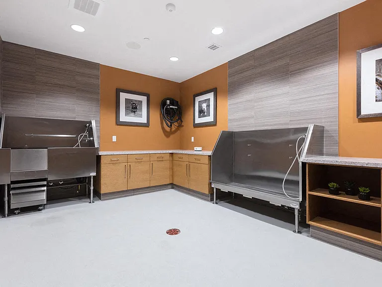 The Standard (CA) — Photo 15