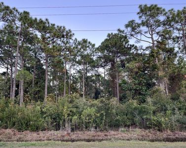 0 N Co Hwy #393, Pt Washington, FL, 32459