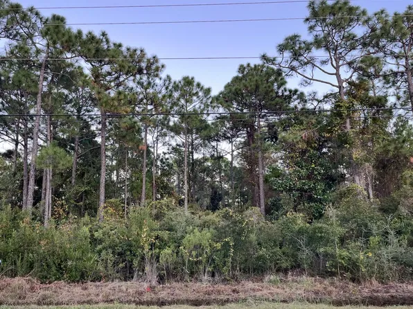 0 N Co Hwy #393, Pt Washington, FL 32459