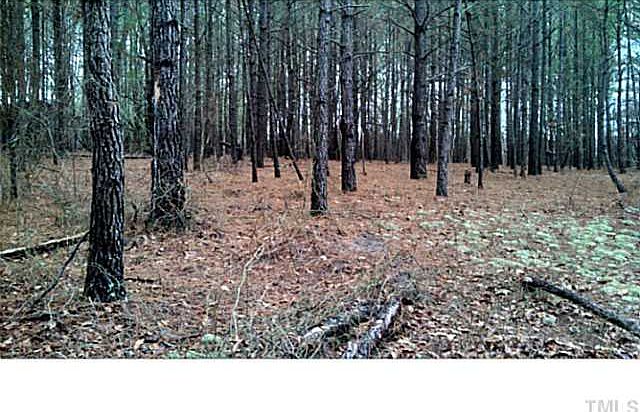 2nd image of 668 Bullard Rd