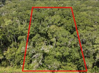 10555 Turpin Ave, Hastings, FL 32145