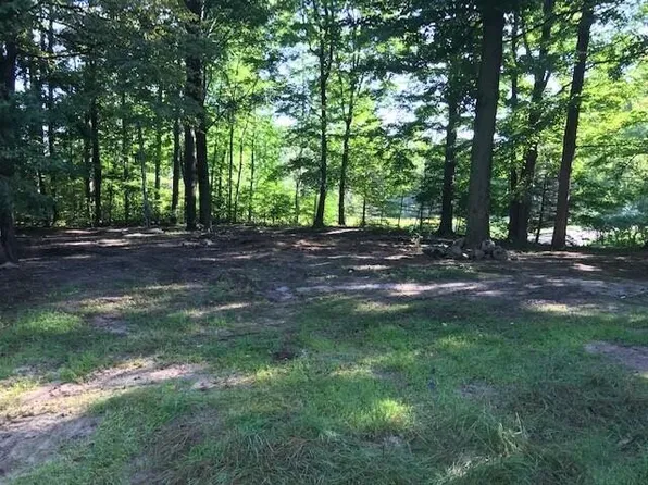 19233 200th Ave, Tustin, MI 49688