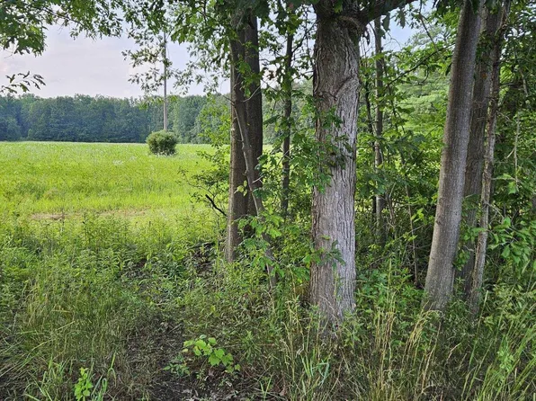 Vacant Irwin Ave Parcel C, Richmond, MI 48062