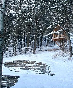 treehouse with Teton views