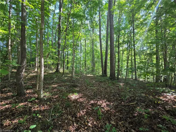 1 Pin Tail Dr, Reidsville, NC 27320