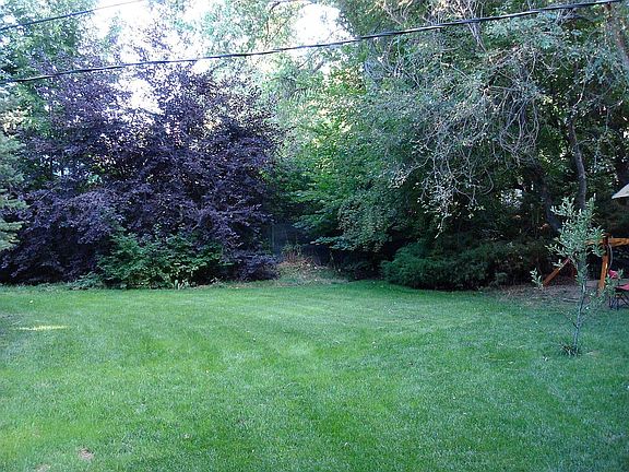 Back yard