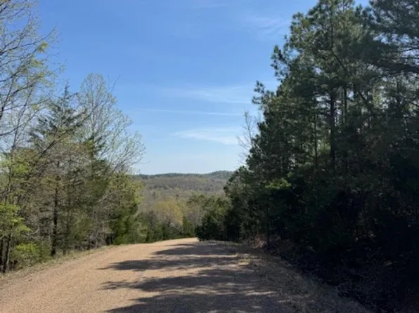 002-11156-007 Arapaho Dr, Calico Rock, AR 72519