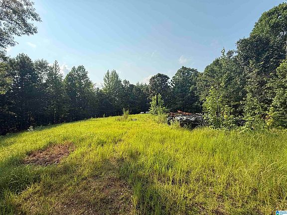 3rd image of 349 Coosa County Road 117 #0
