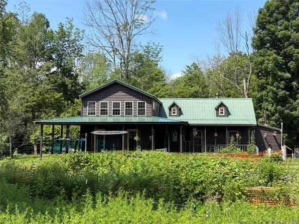 13 Grooville Road, Livingston Manor, NY 12758