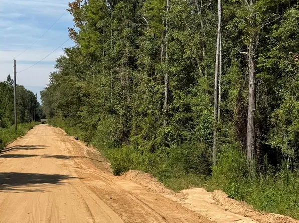 0 Douglas Ferry Rd, Bonifay, FL 32425