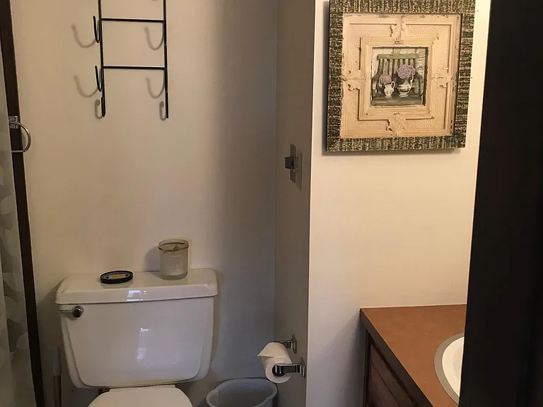 Bathroom 3 tub and shower