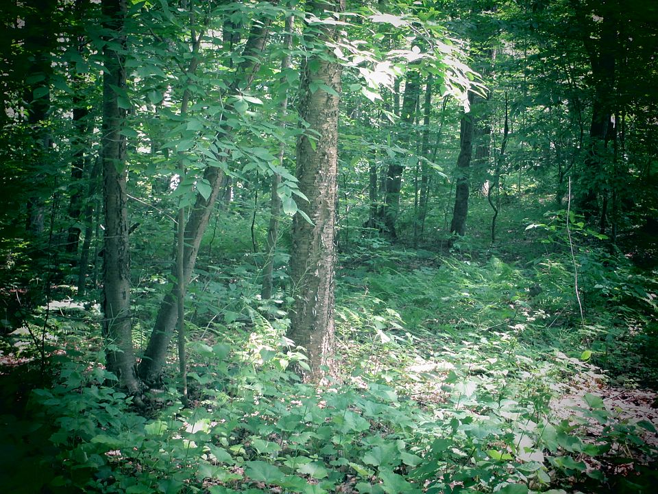 1st image of 1063 Wagner Road