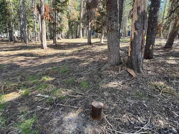 LOT 10 Lakeshore Dr, McCloud, CA 96057