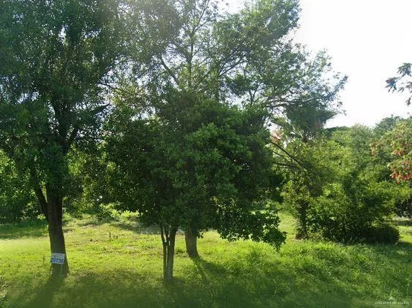 29736 Couch Ave, Hargill, TX 78549