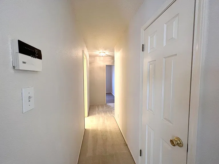 6708 Bancroft Woods Dr — Photo 19