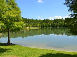 14259 Oasis Cove Blvd, Windermere, FL 34786